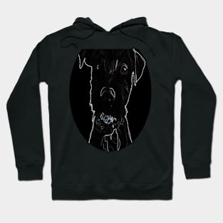 dog cute terrier Hoodie